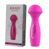 [736] WANDİ PİNK