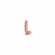 Sensualism 21cm Kıkırdaklı Gerçekçi Dildo