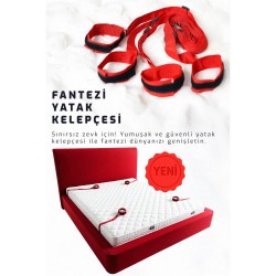 KIRMIZI YATAK KELEPÇESİ